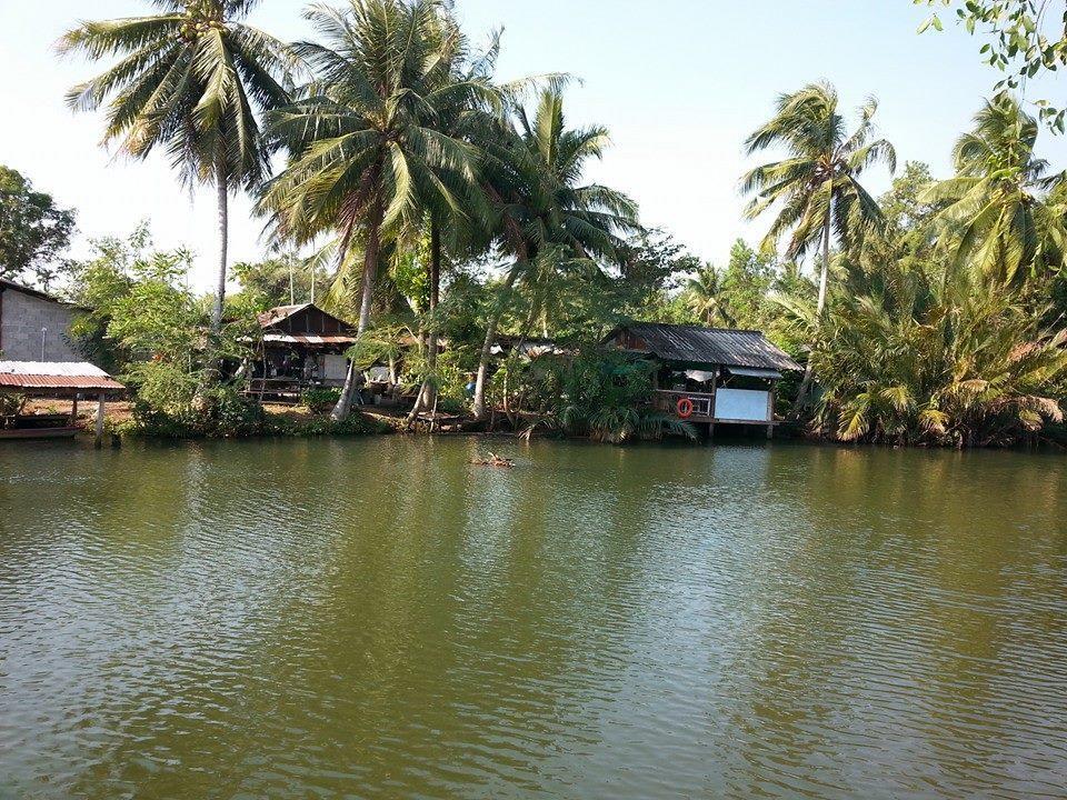 Artist'S Place Trat Bagian luar foto