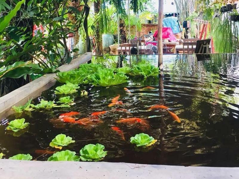 Artist'S Place Trat Bagian luar foto